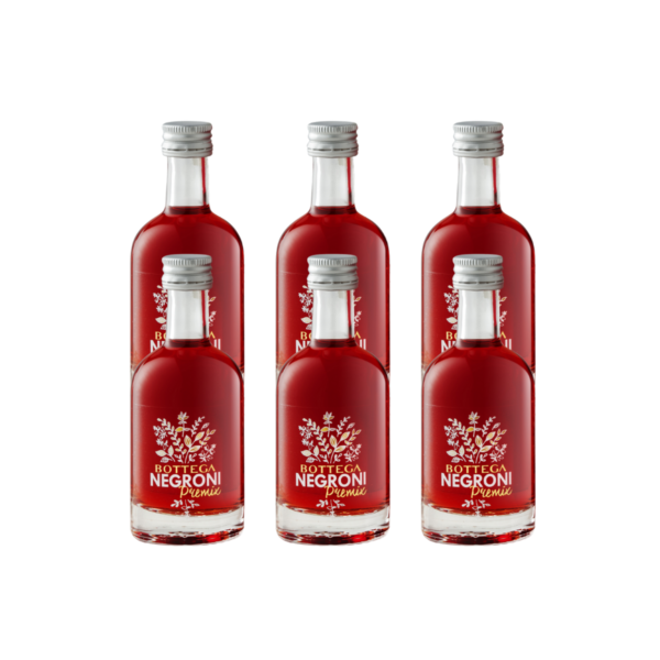 Bottega Negroni Premix 100ml X6